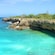 A lush cliff overlooking an ocean